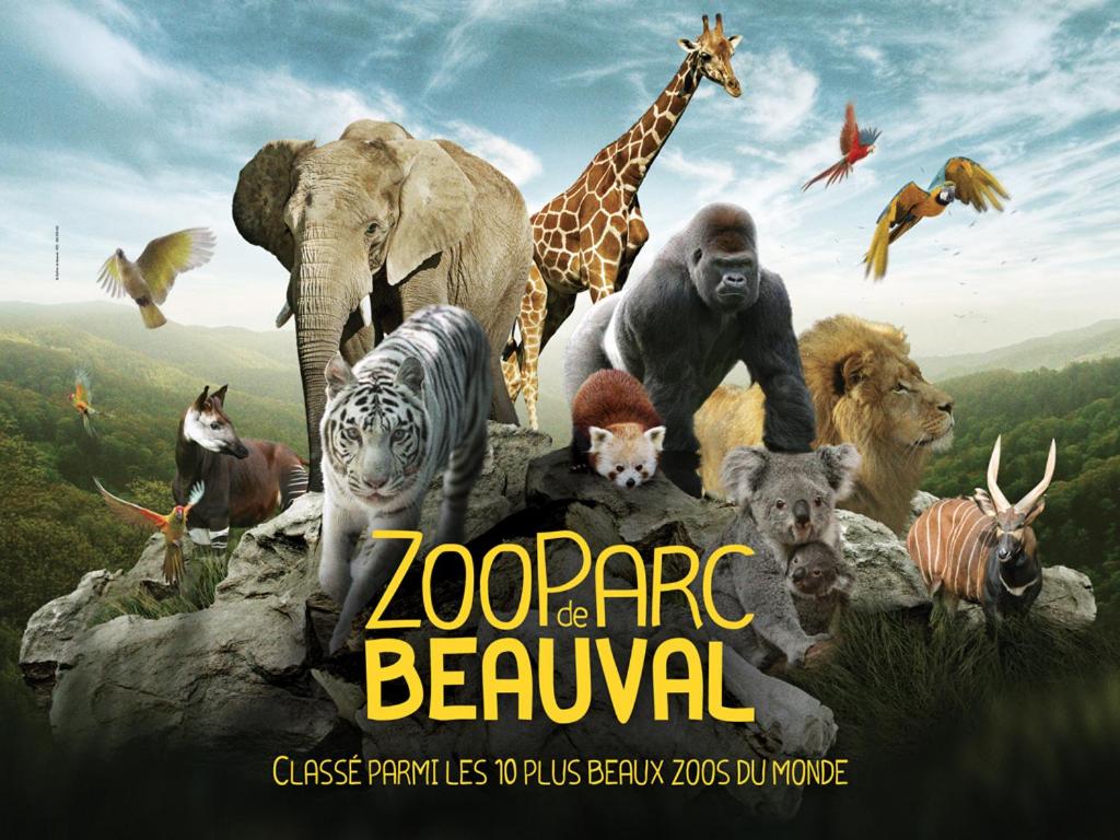 La Pause - Val de Loire (20 mins - Zoo de Beauval) photo 1
