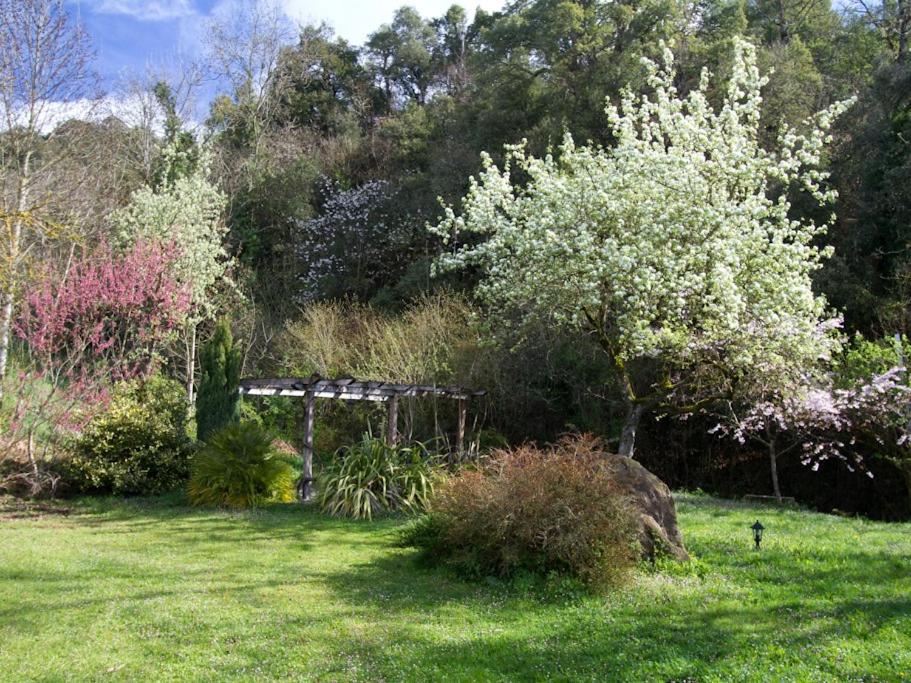 La Yosa de Arguebanes photo 4