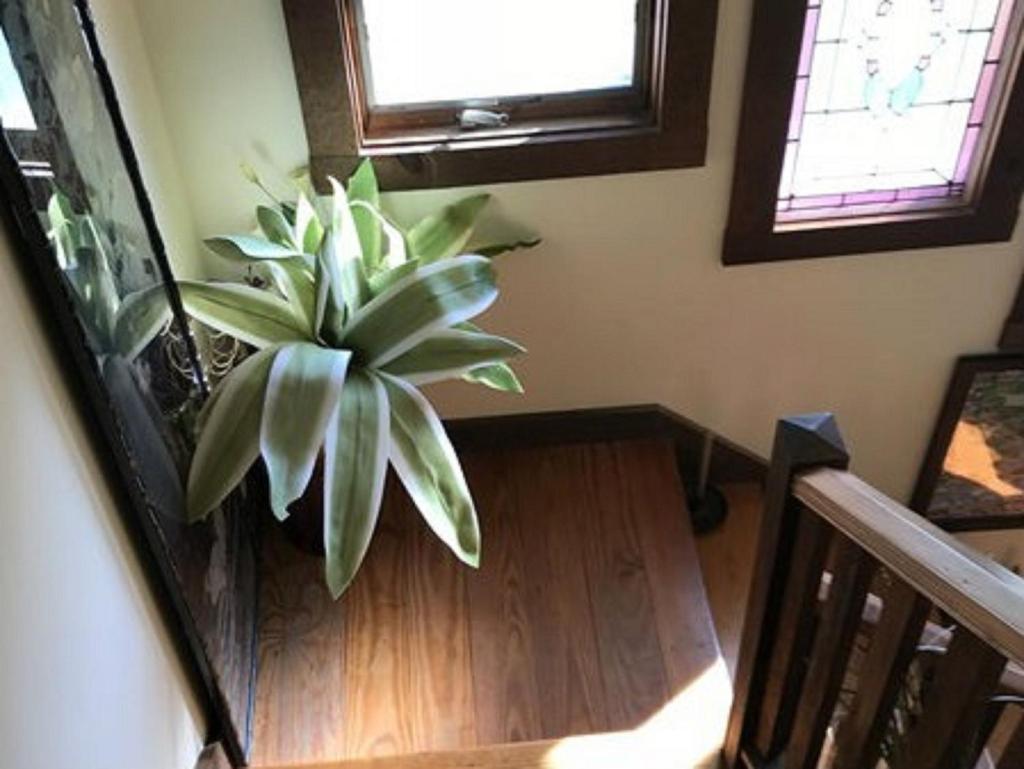 Gardenview Bed and Breakfast photo 3