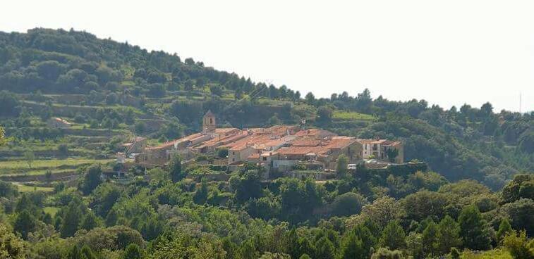 Casa Leonor photo 2