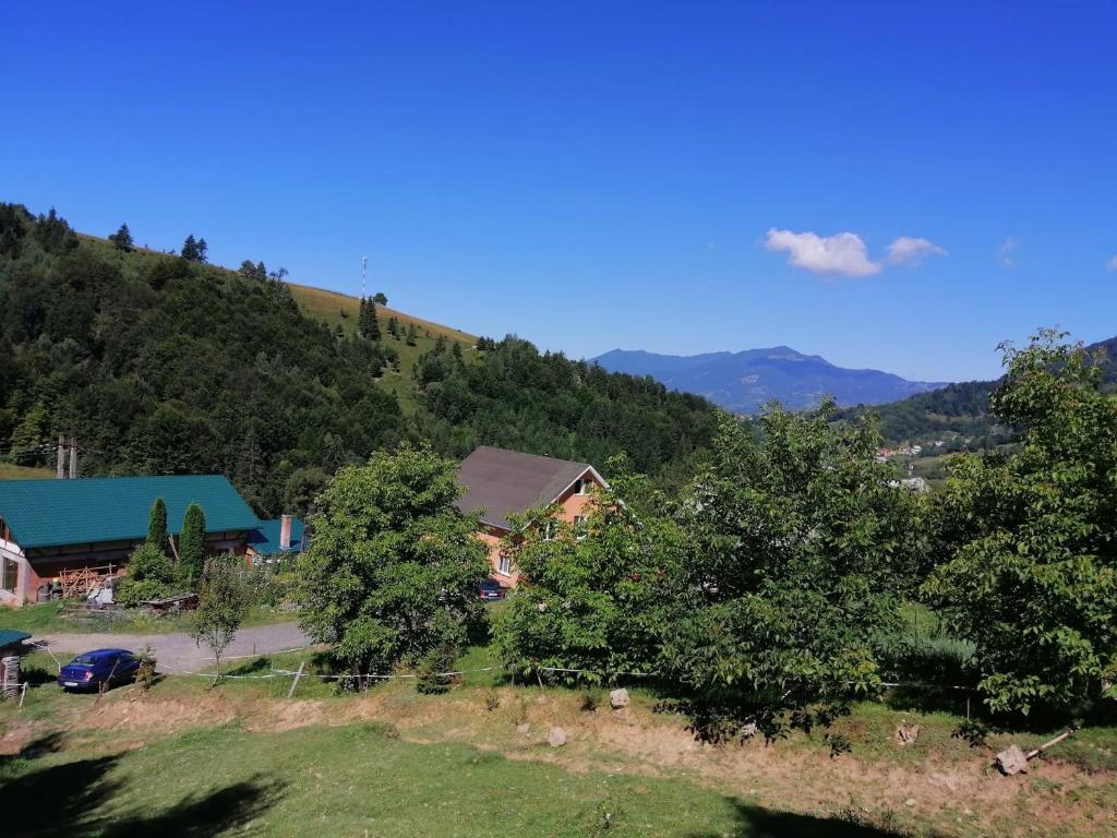 Casa Geanina photo 2