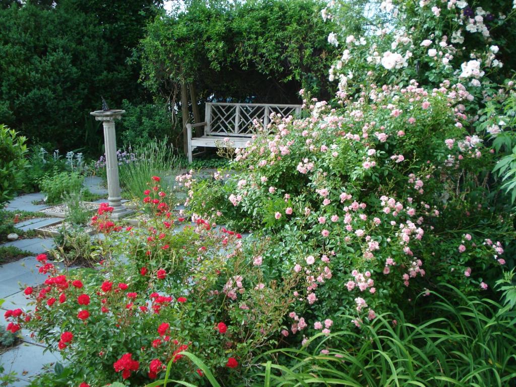 Newport House Bed & Breakfast photo 2