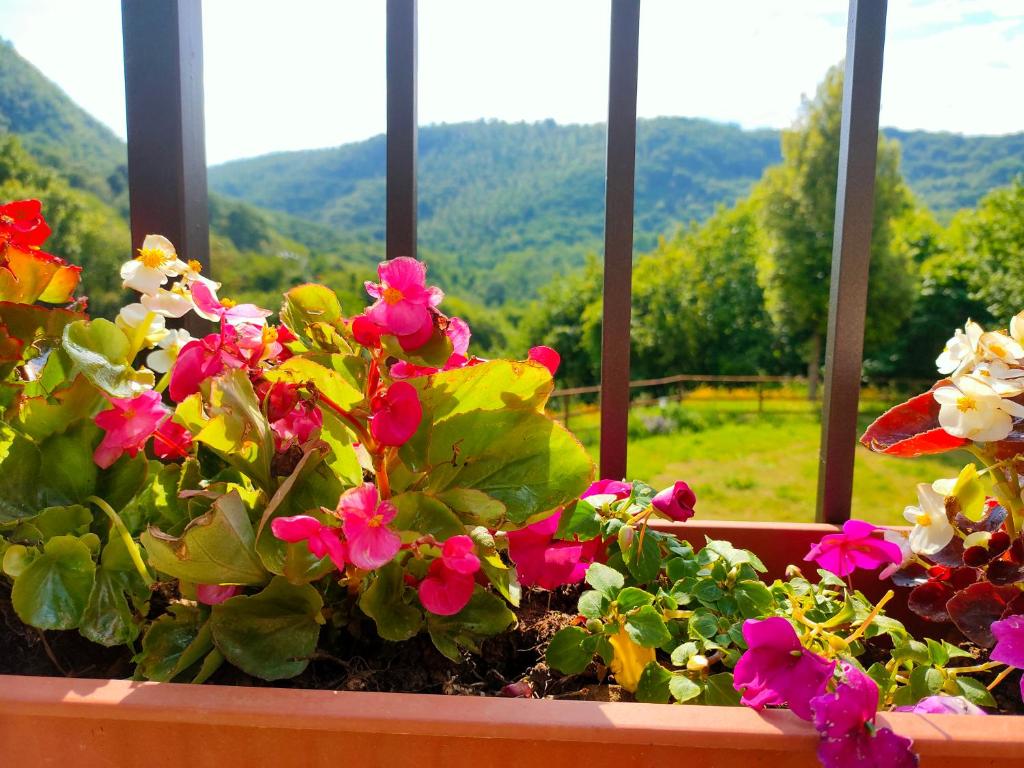 Villa sulle Colline Toscane con Piscina photo 3