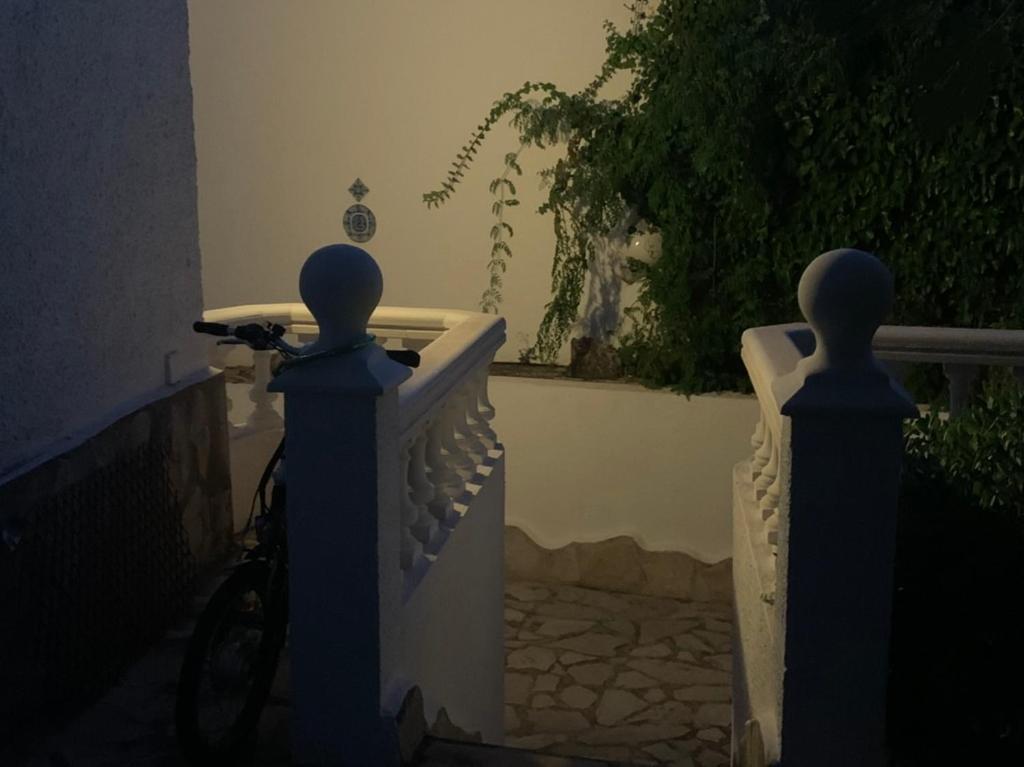 Apartment Villa Chloe photo 3
