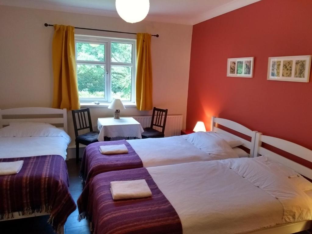 Kilcommon Lodge Holiday Hostel photo 4