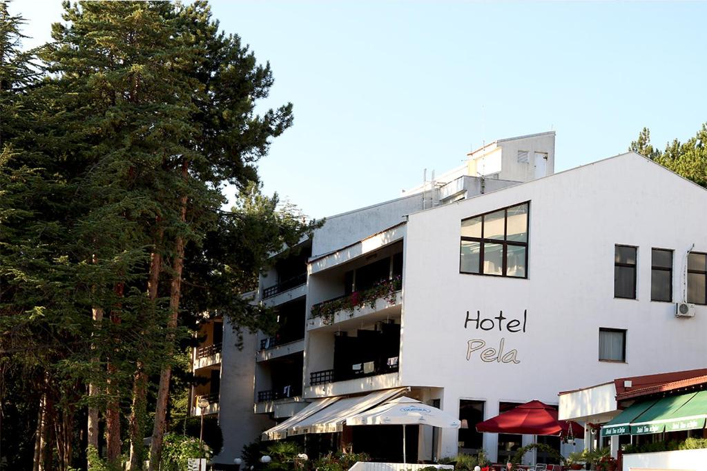 Hotel Pela photo 3