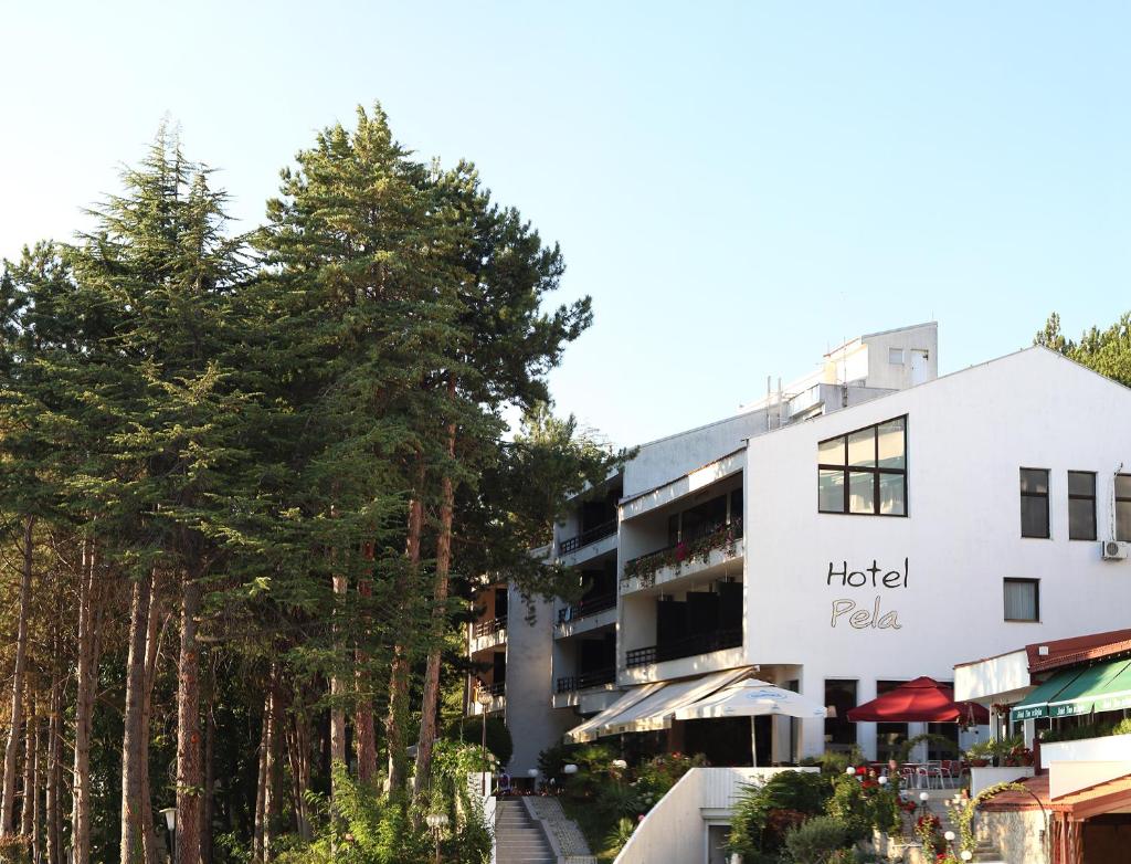 Hotel Pela photo 1