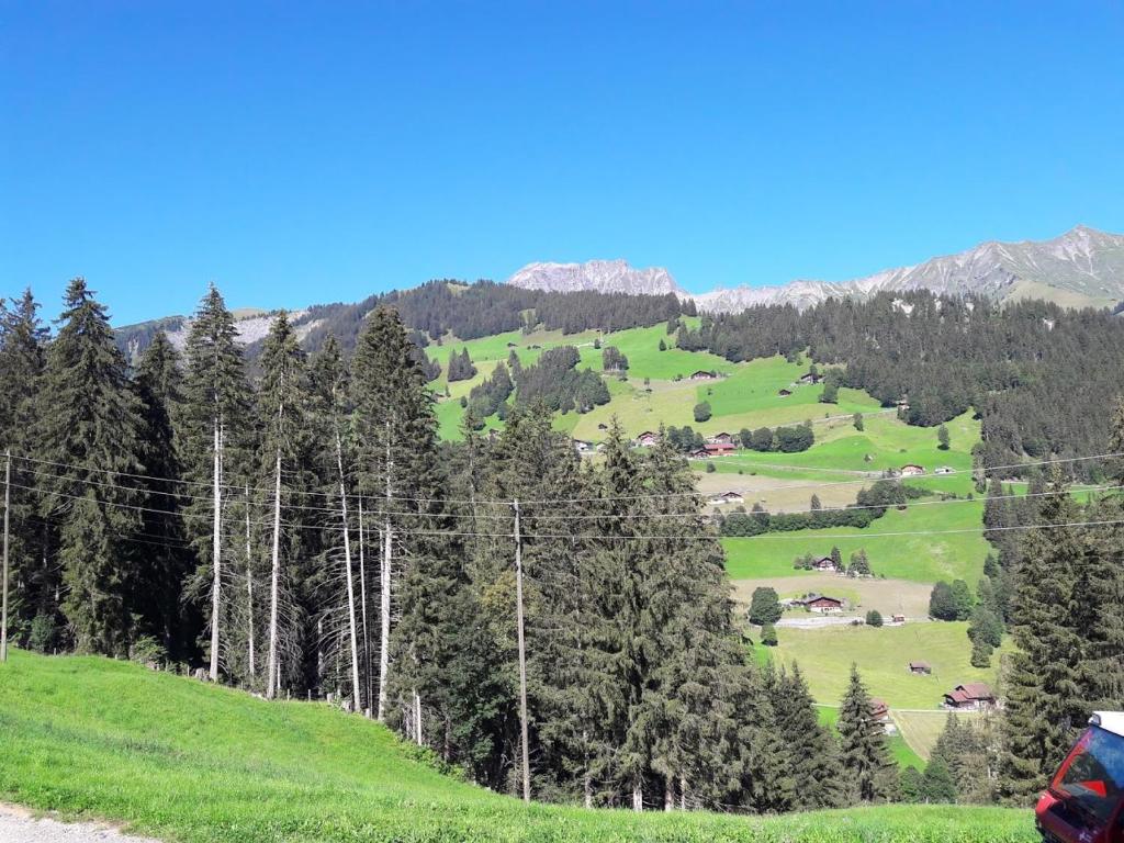 Ferien in der Bergwelt von Adelboden photo 2