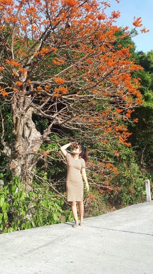 Chamisland Hanhly homstay