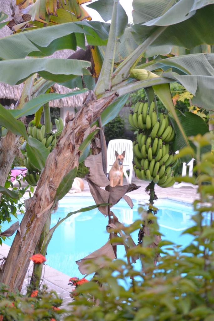 Pension De La Plage photo 2