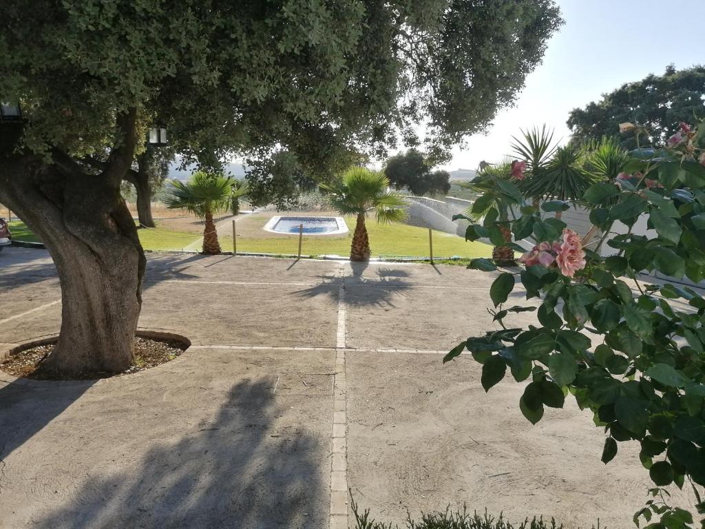 Alojamiento Rural El Chaparral photo 1