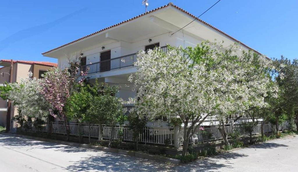 P.A.G Apartments photo 3