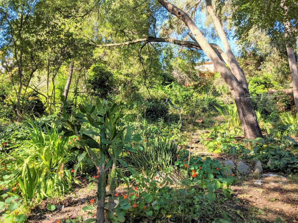 Hillmont paradise photo 4