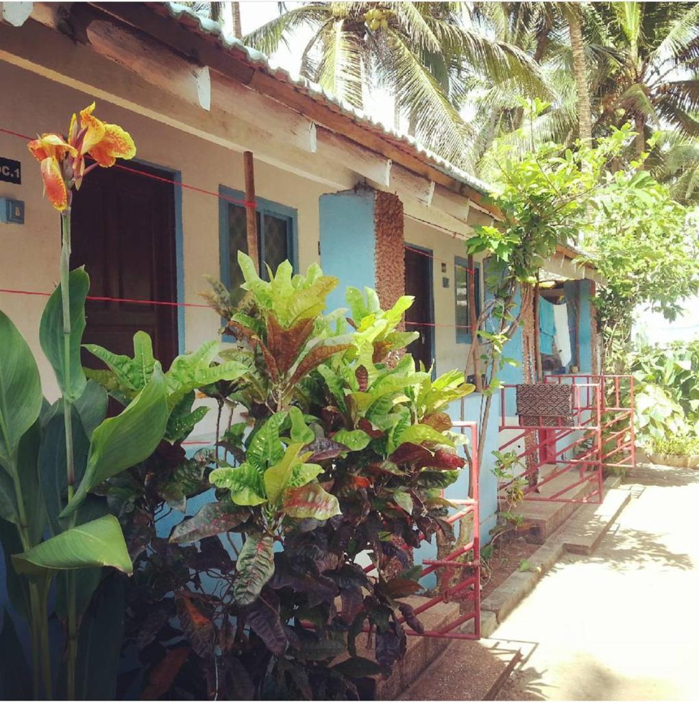 Номер (Кровать в общем 4-местном номере для мужчин и женщин), Hippie hostel Anjuna