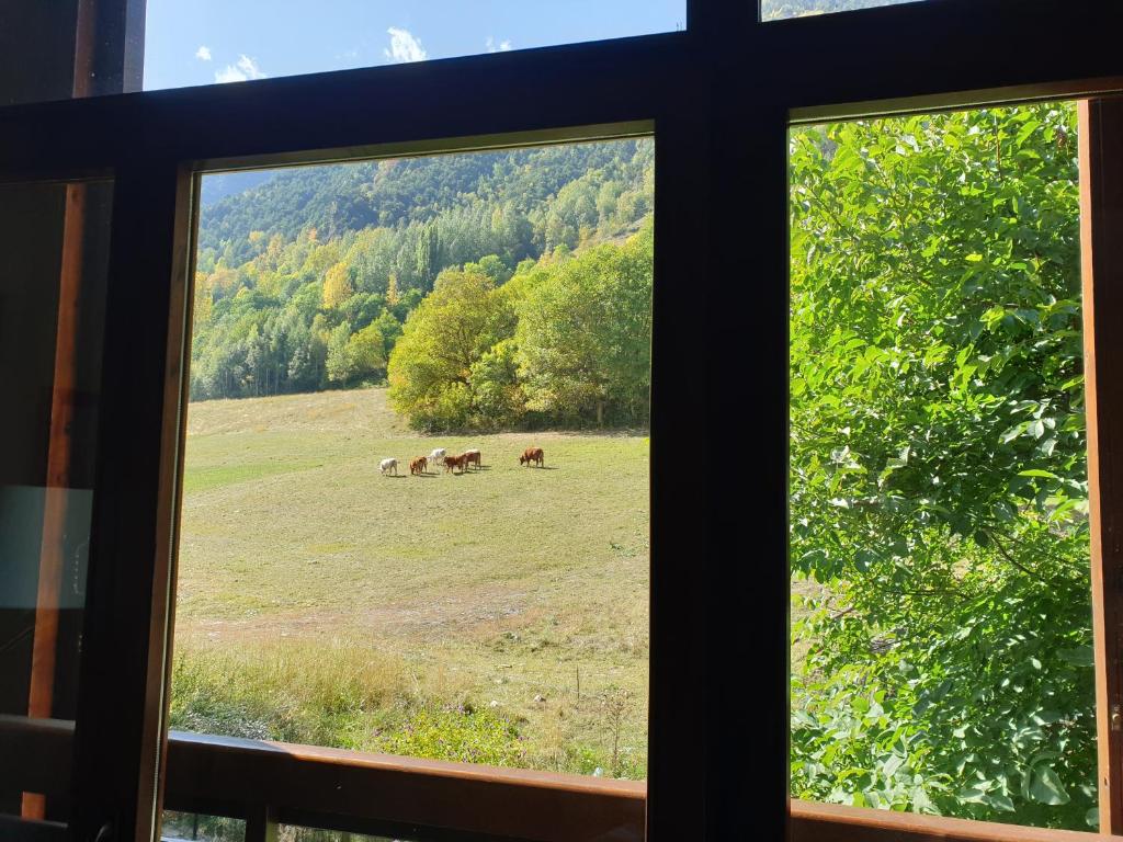 Dúplex Àreu, Pallars photo 3