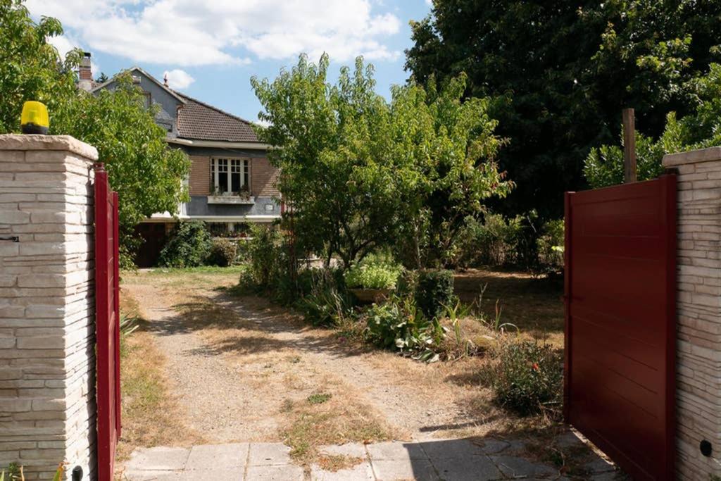 LA VIGNE photo 3
