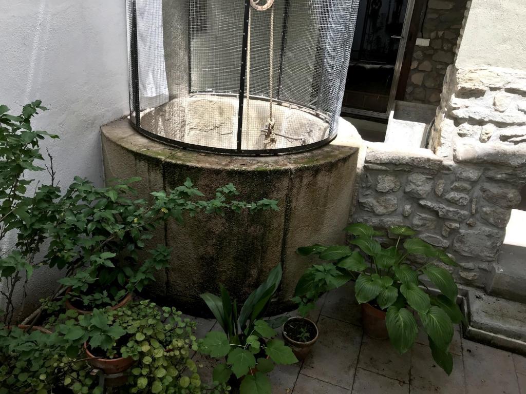 Casa Oliván photo 4