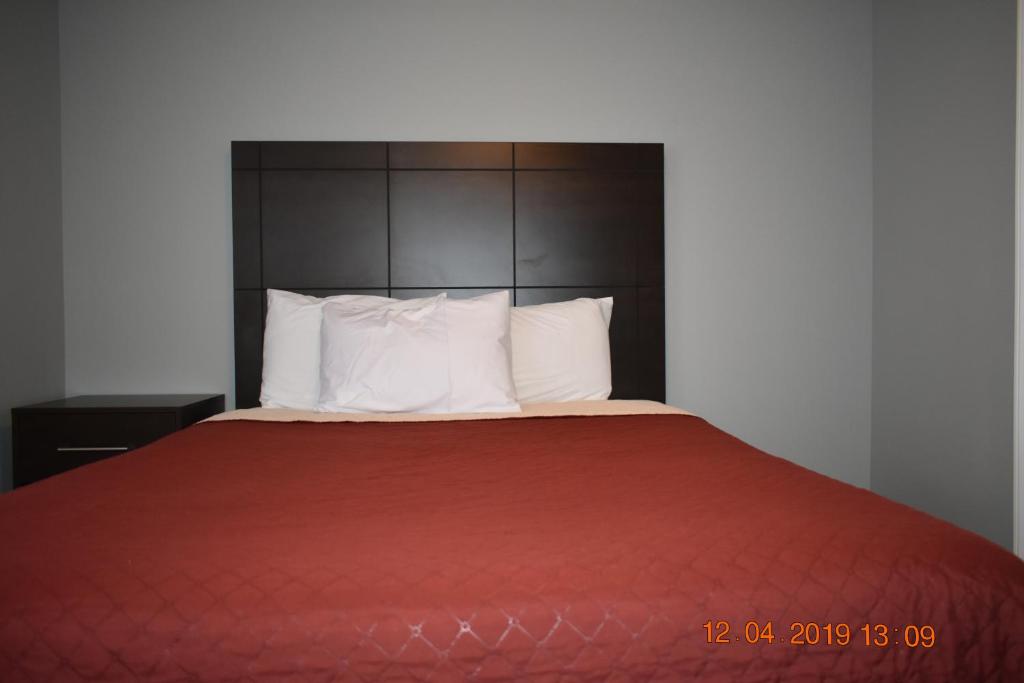 Time Travellers Motel photo 4