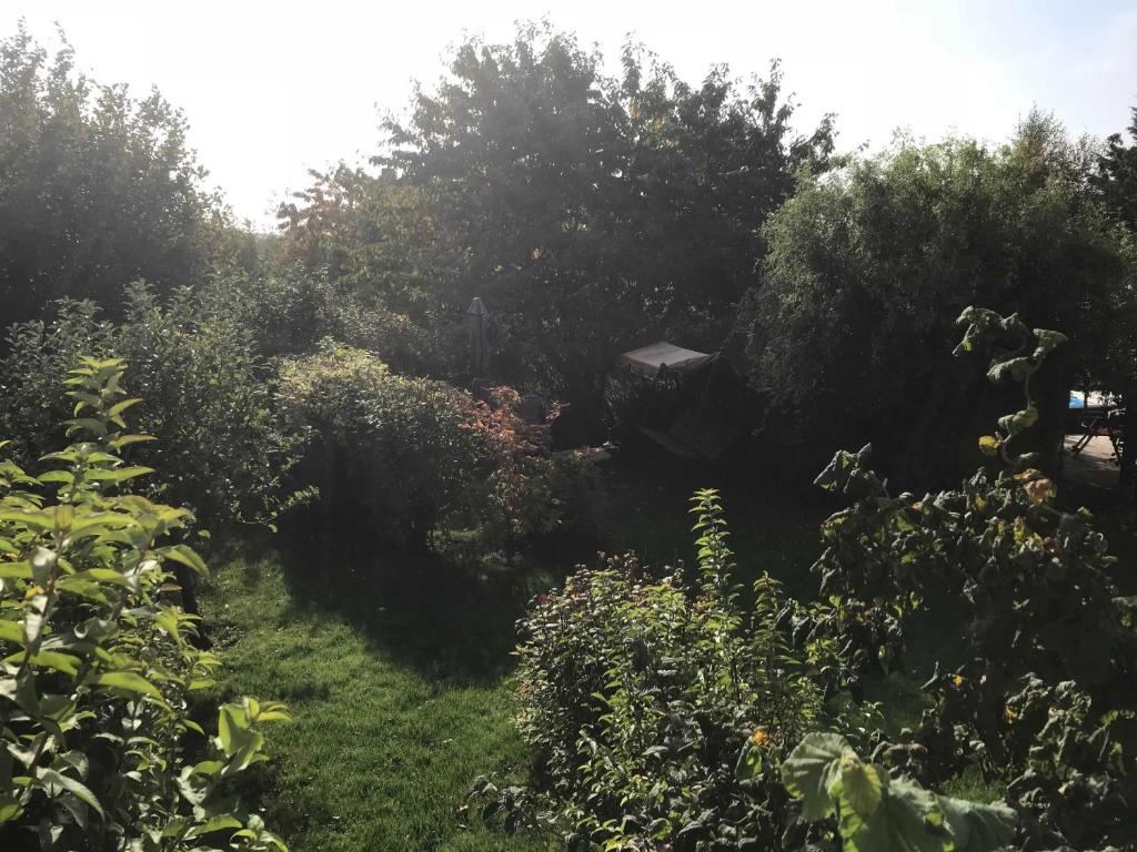 Fewo in sonniger Lage in Sagard photo 4