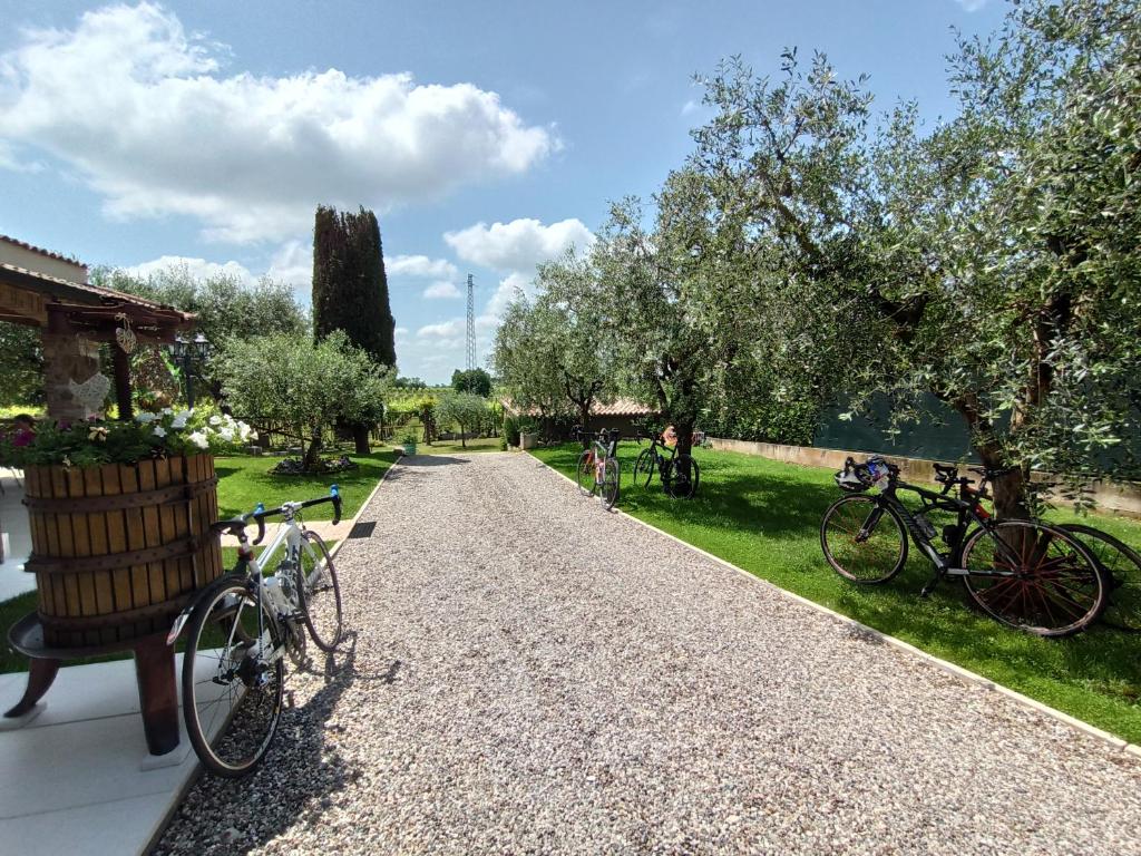 Le Zampolle B & B photo 1