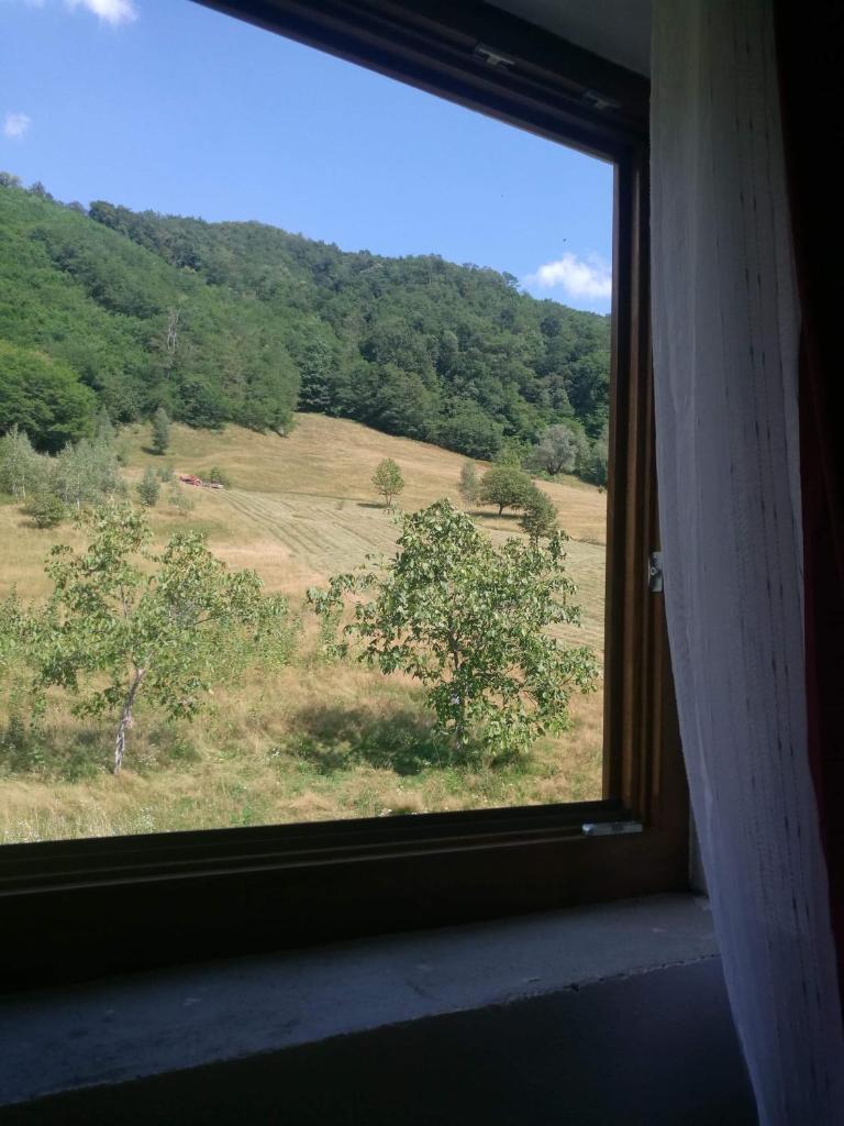 Pensiunea Costesti photo 1