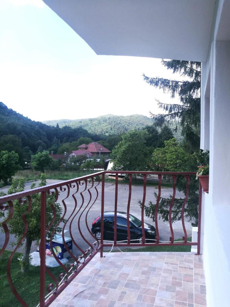 Pensiunea Costesti photo 2