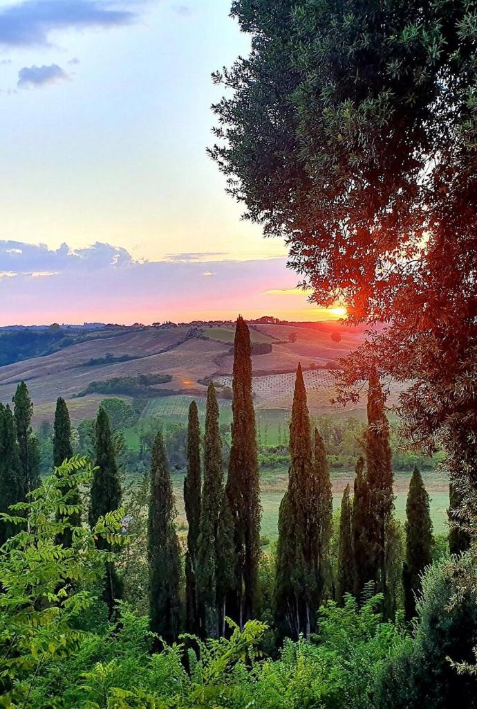Laticastelli Country Relais photo 3
