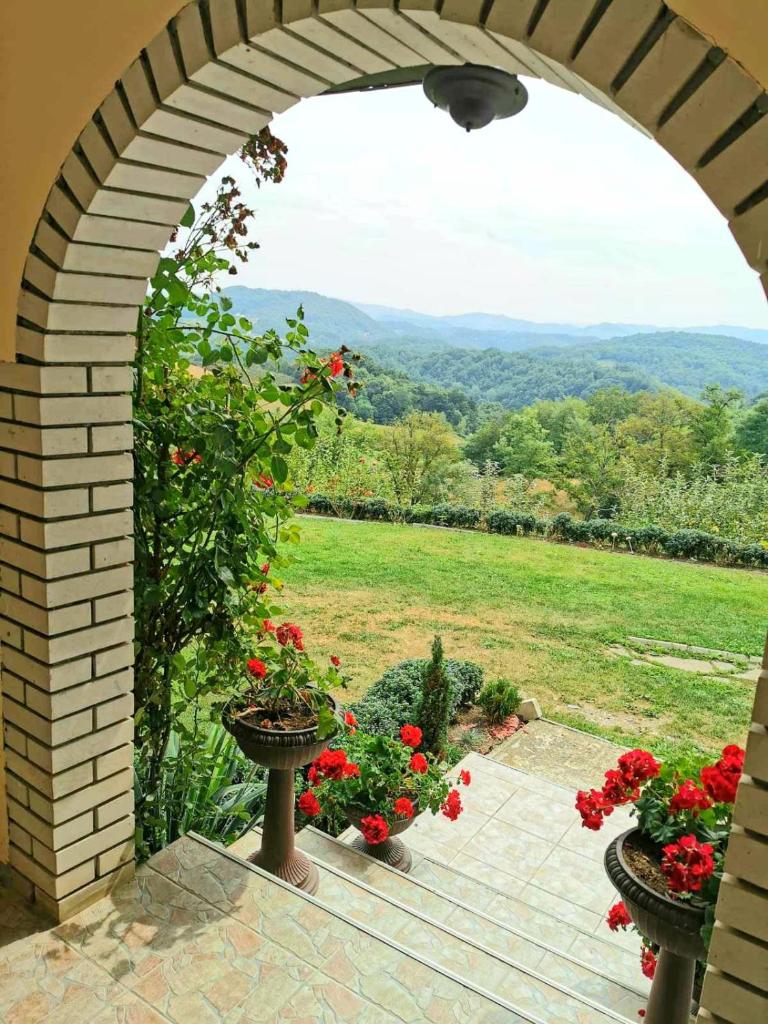Domaćinstvo Sinđelić photo 1