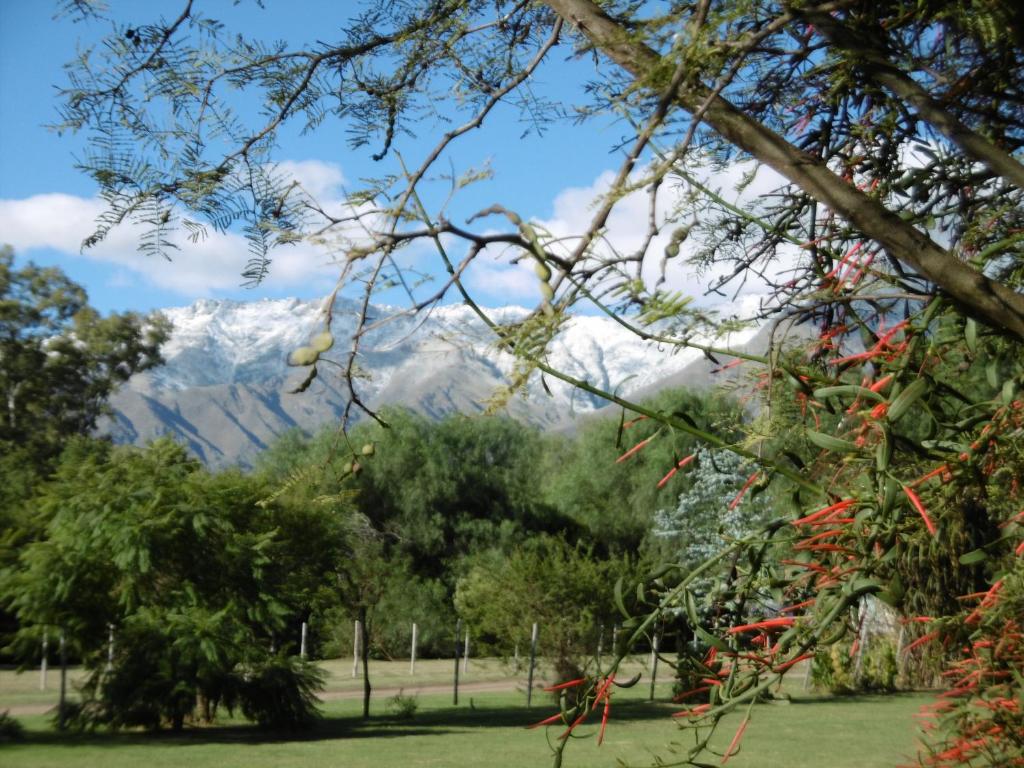 Posada Villapancha photo 2