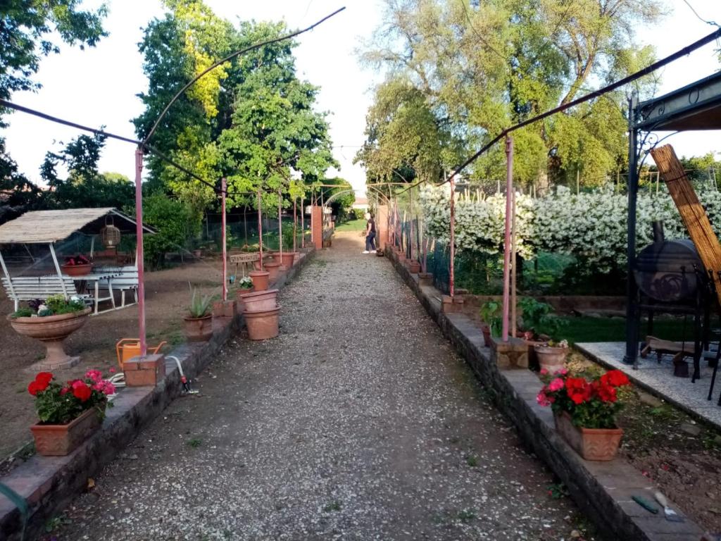 Alle vecchie mura photo 4