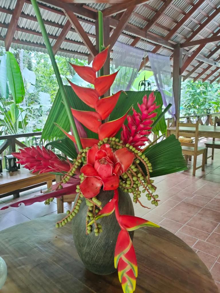 Finca Ardilla Jungle Lodge photo 2