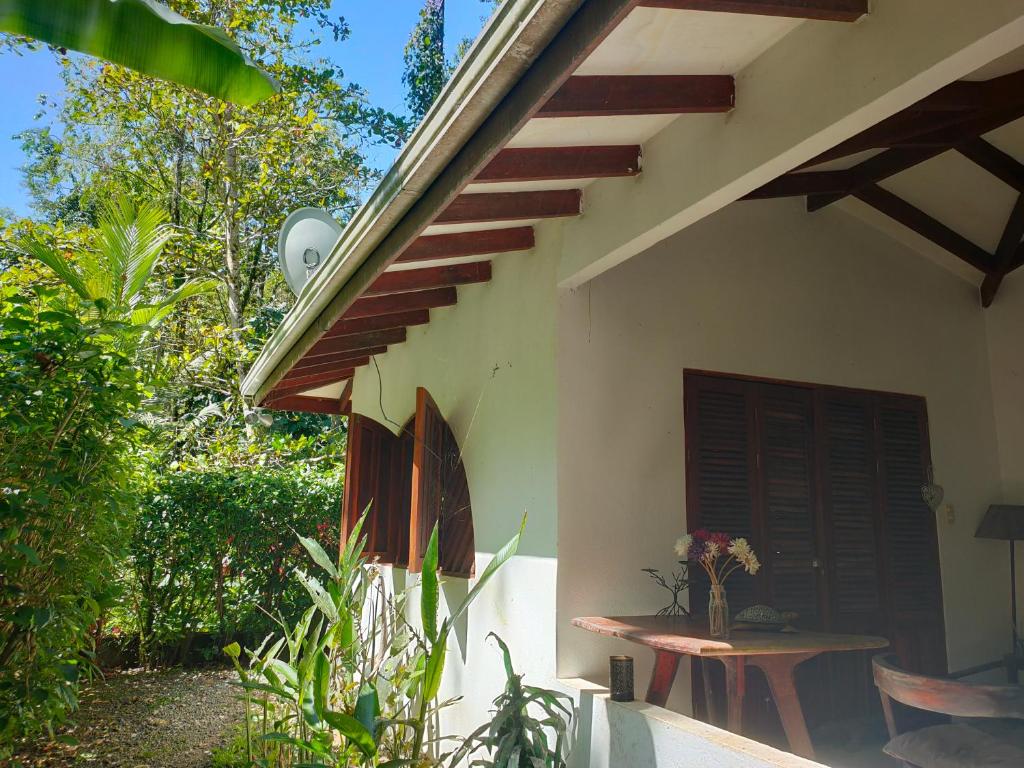 Finca Ardilla Jungle Lodge photo 1