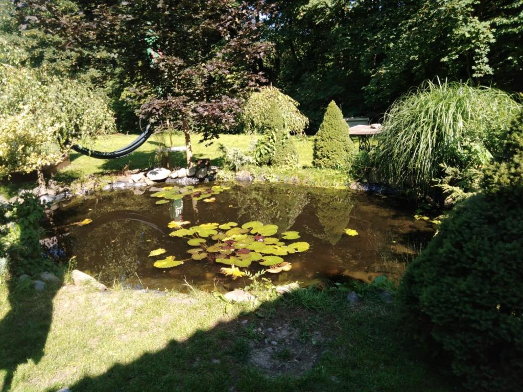 Penzion Gutská krčma photo 2