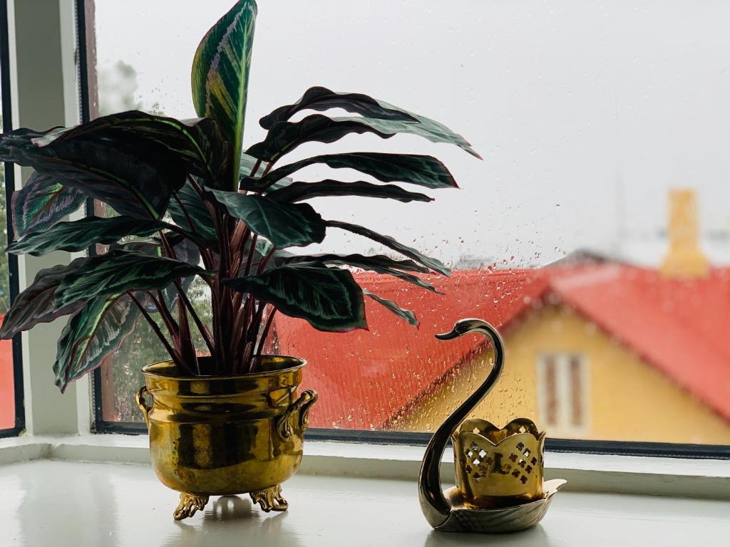 Skólavörðustígur Apartments photo 2