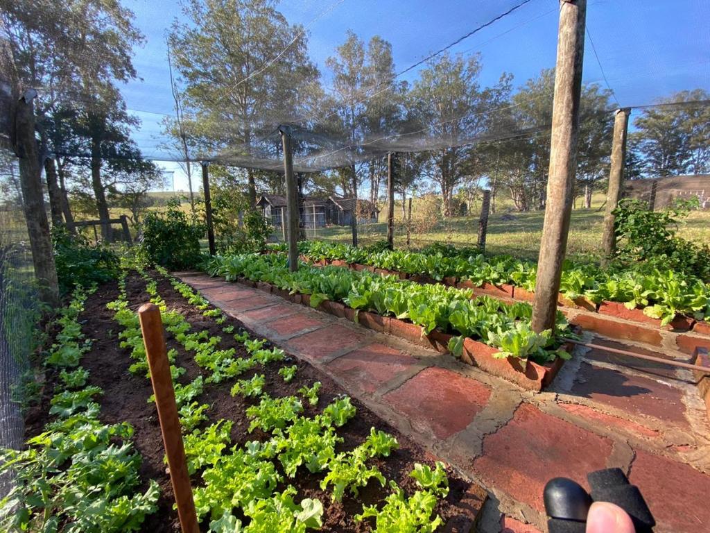 Pousada Fazenda Pinhalzinho photo 3
