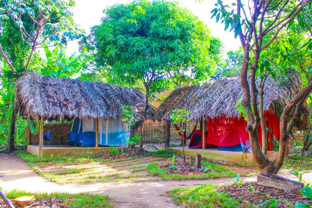Coruja EcoGlamping photo 3
