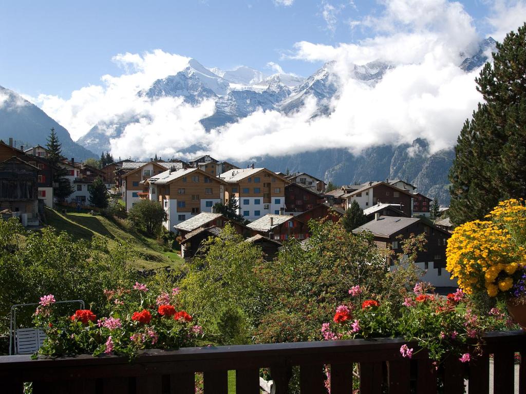 Chalet Soldanella photo 4