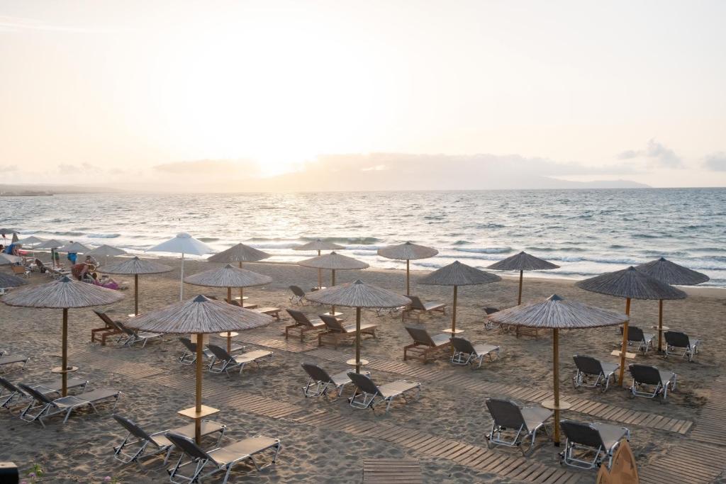 Elia Agia Marina Hotel photo 4