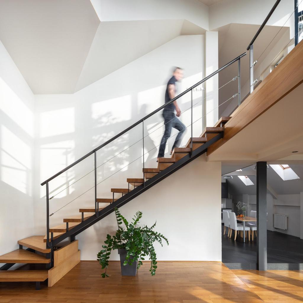 Apartment Penthouse Festina Lente photo 2