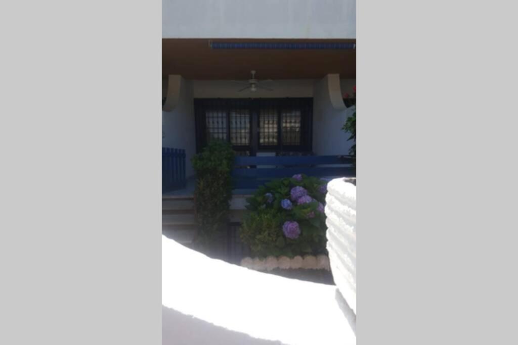 Villino Fronte Mare photo 3