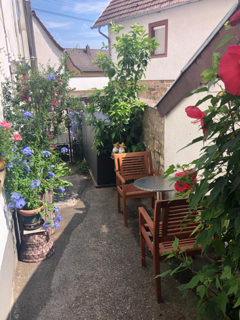 einfache Monteurwohnung mit WLAN und Sat Tv, Netflix photo 4