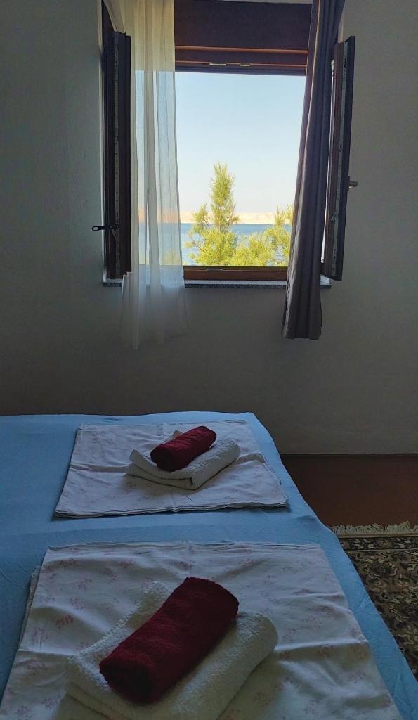 Apartmani Ana photo 3