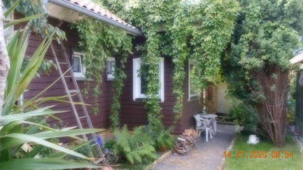 Vermiete sehr schönes Apartment in Dankerode im Harz photo 1