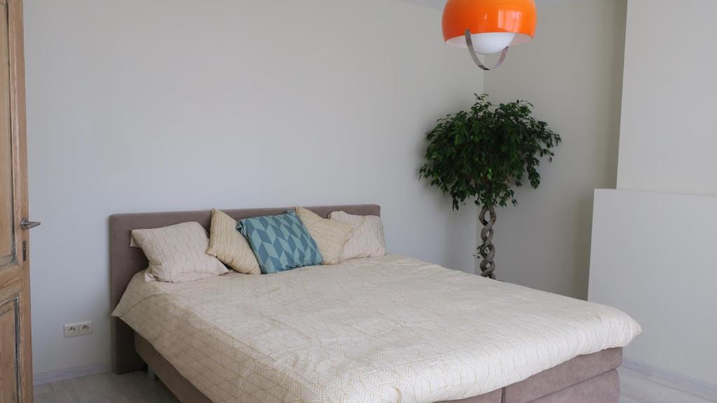 Vakantiewoning Zonnehof photo 2