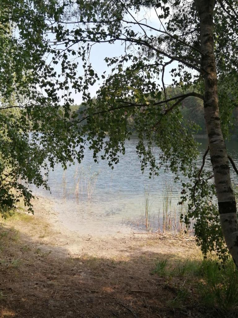 Spreewaldhäuser Golinski mit Kamin am Neuendorfer See photo 4