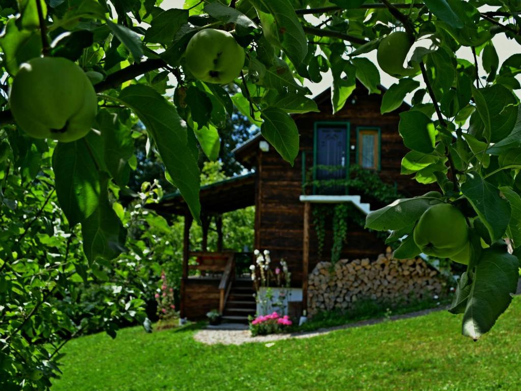 Na koncu swiata photo 3