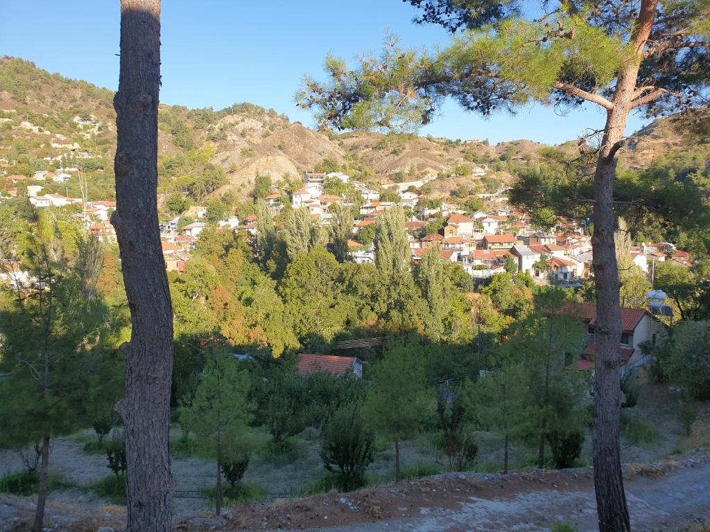 Melissonas Villas photo 1