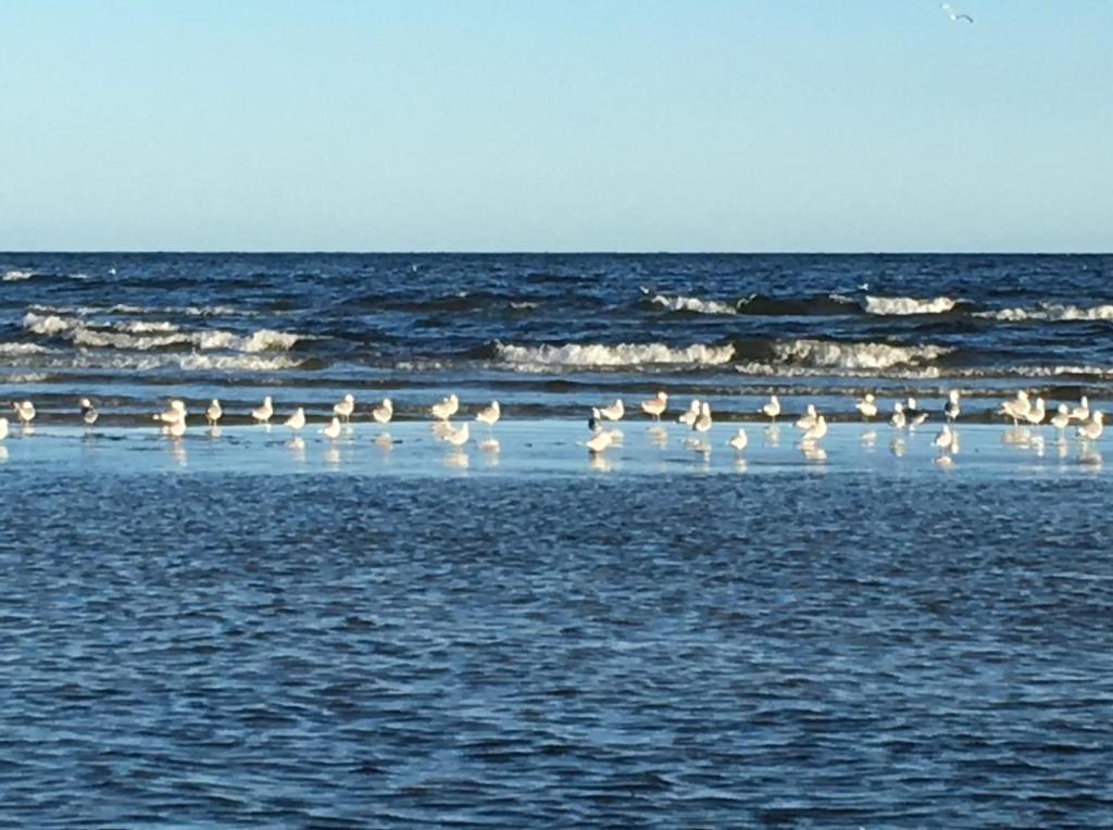 Sun on waves - Jurmala Apartment Accommodation photo 1