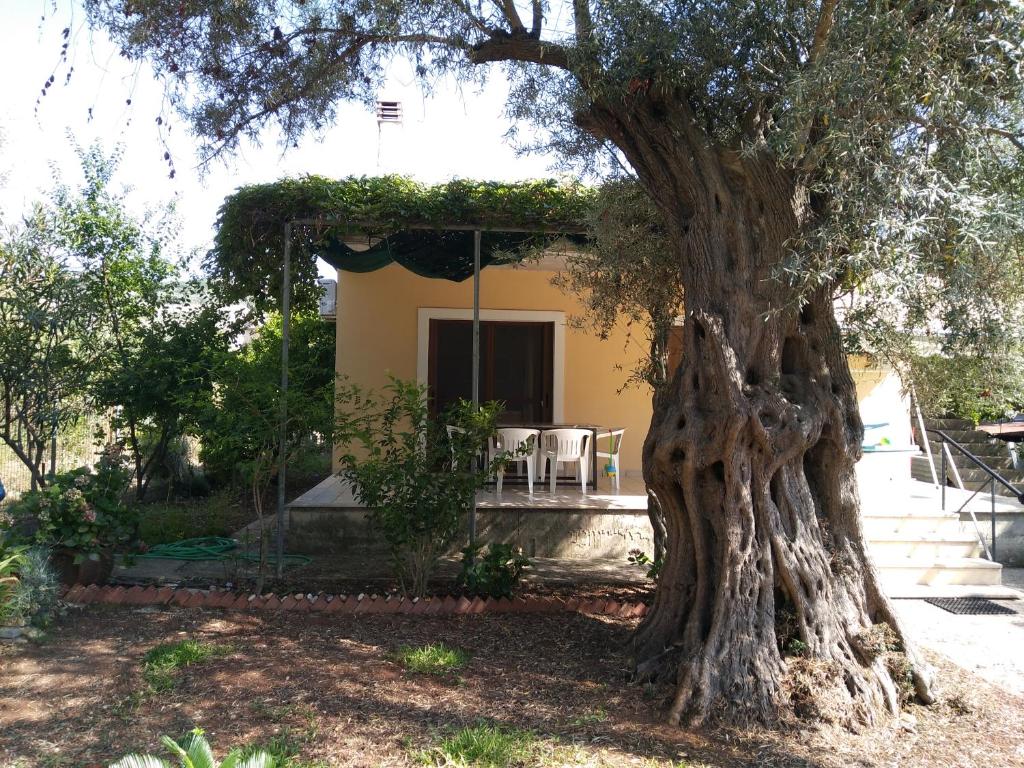 Lefkas house with garden photo 1