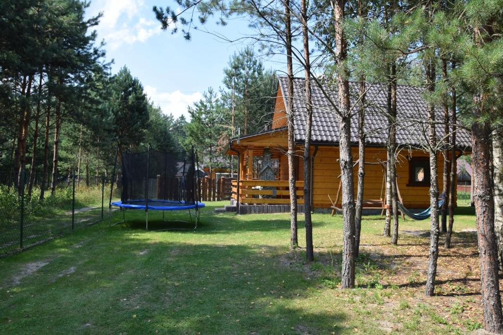 Zacisze Leśne- Domek do wynajęcia photo 3